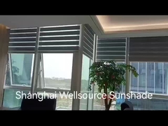 ゼブラ・ブラインド 映像