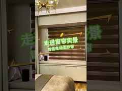 ゼブラ・ブラインド 映像